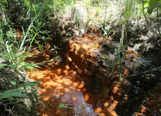 Ministério Público chega a 918 nascentes mapeadas em Mato Grosso e protege área equivalente a 800 campos de futebol