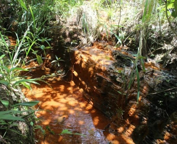 Ministério Público chega a 918 nascentes mapeadas em Mato Grosso e protege área equivalente a 800 campos de futebol