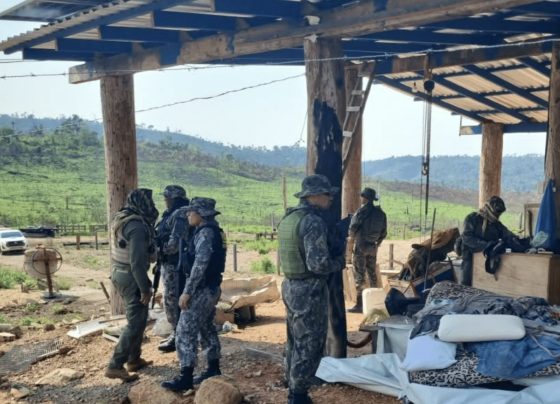 Polícia constata desmatamento e apreende armas durante operação em Mato Grosso