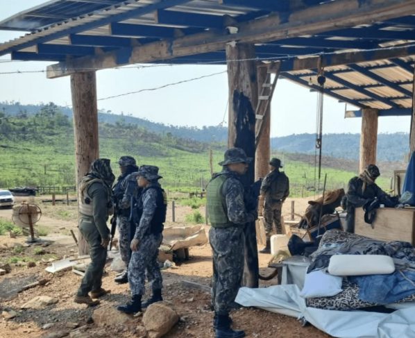 Polícia constata desmatamento e apreende armas durante operação em Mato Grosso