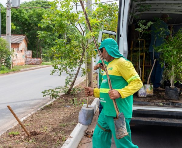 Prefeitura de Cuiabá planta 150 mudas de árvores no bairro Pedra 90