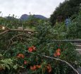 Alerta de tempestade: frente fria amplia instabilidade na Região Sul