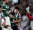 Botafogo segura Palmeiras e ajuda Flamengo, novo líder do Brasileirão