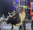 Com 100% de aproveitamento, Alex Oliveira fatura R$ 250 mil