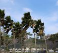 Defesa Civil alerta para ventos fortes na cidade do Rio