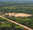 MPF manda investigar invasão de madeireiros no Xingu