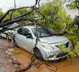 Sinop: ventos derrubam outdoor e árvores que atingem carros; bairros