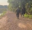 Sinop: homem é encontrado morto com mãos amarradas e marcas de tiros; suspeito é preso